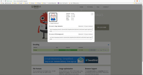 Base64 Image website image